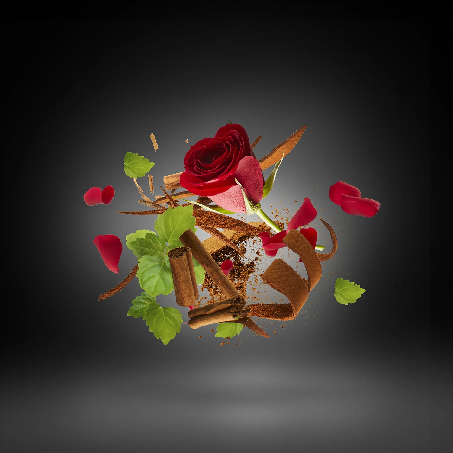 Miniature 3 de Tony Iommi Deified 