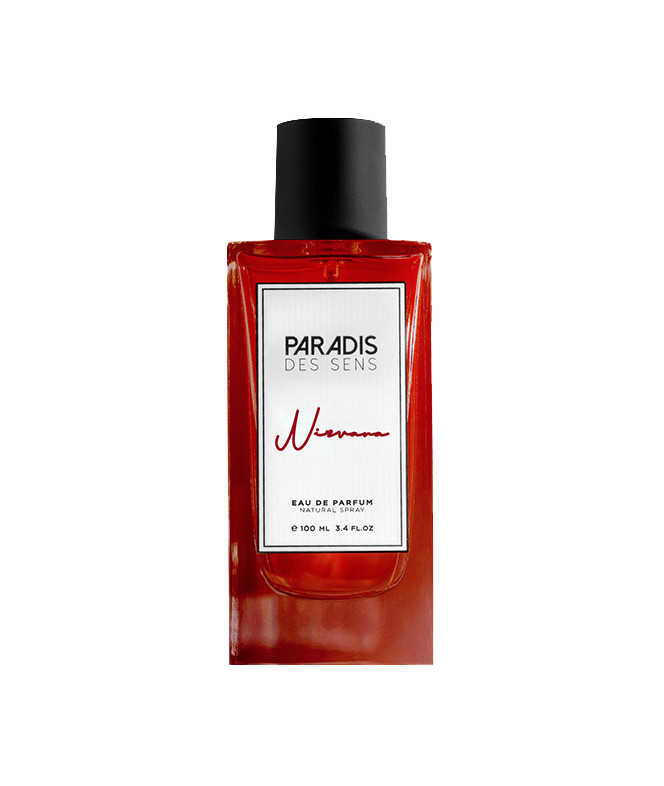 Miniature 1 de NIRVANA