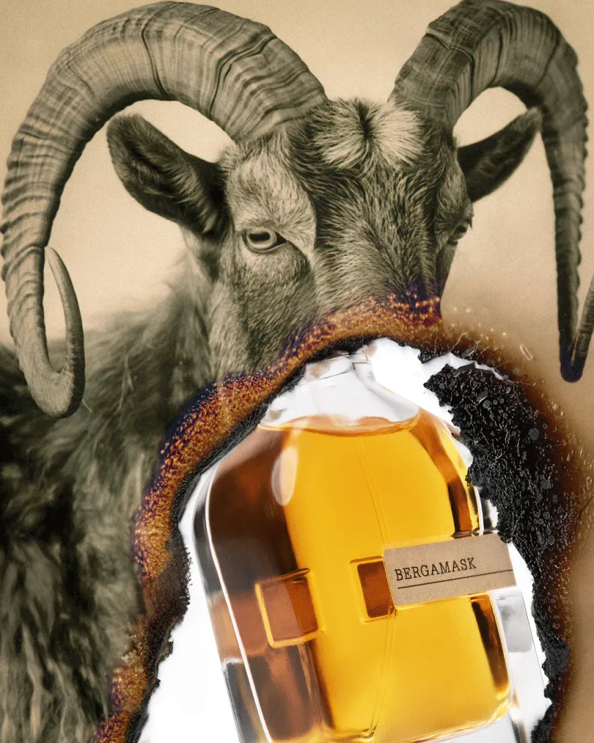 Miniature 2 de BERGAMASK