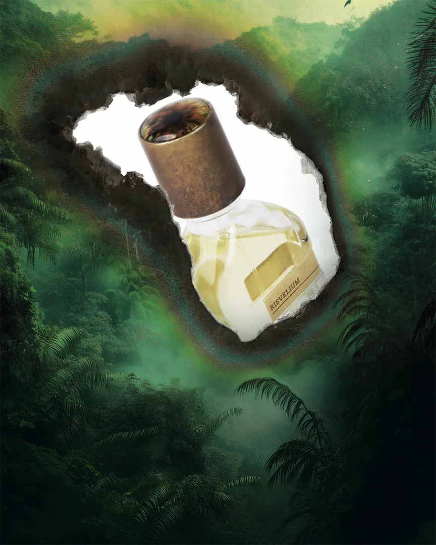 Miniature 3 de RISVELIUM