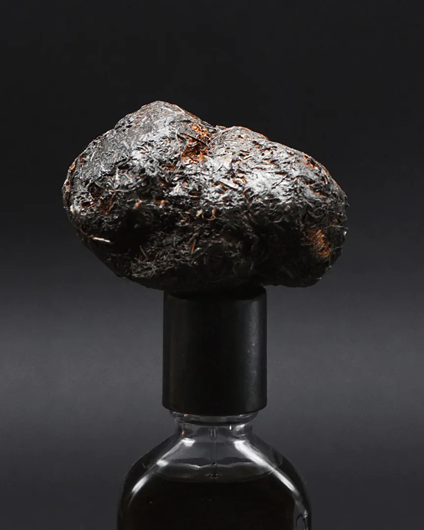 Miniature 3 de STERCUS