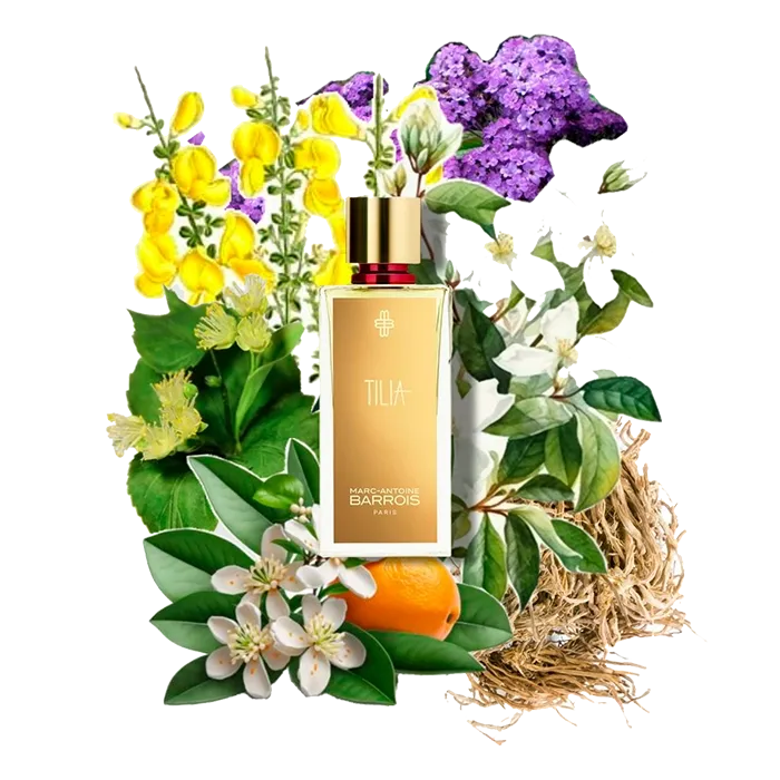 Miniature 2 de TILIA