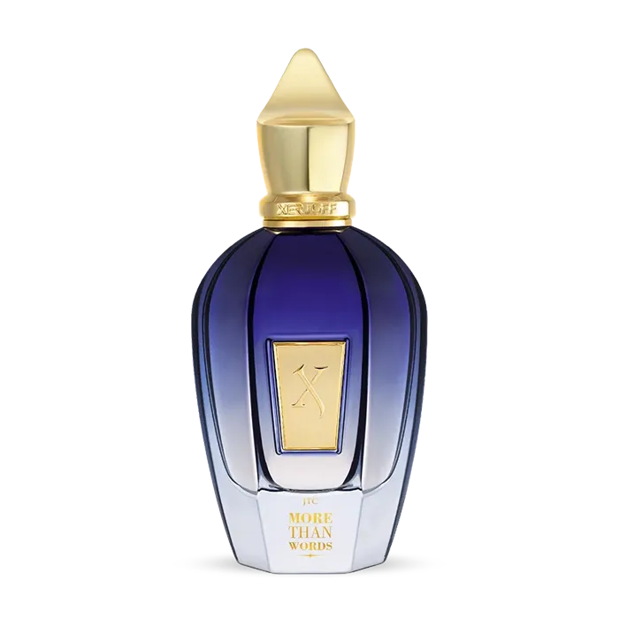 Miniature 1 de MORE THAN WORDS