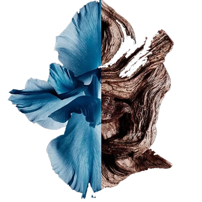 Miniature 2 de GENTLEMAN EDT INTENSE