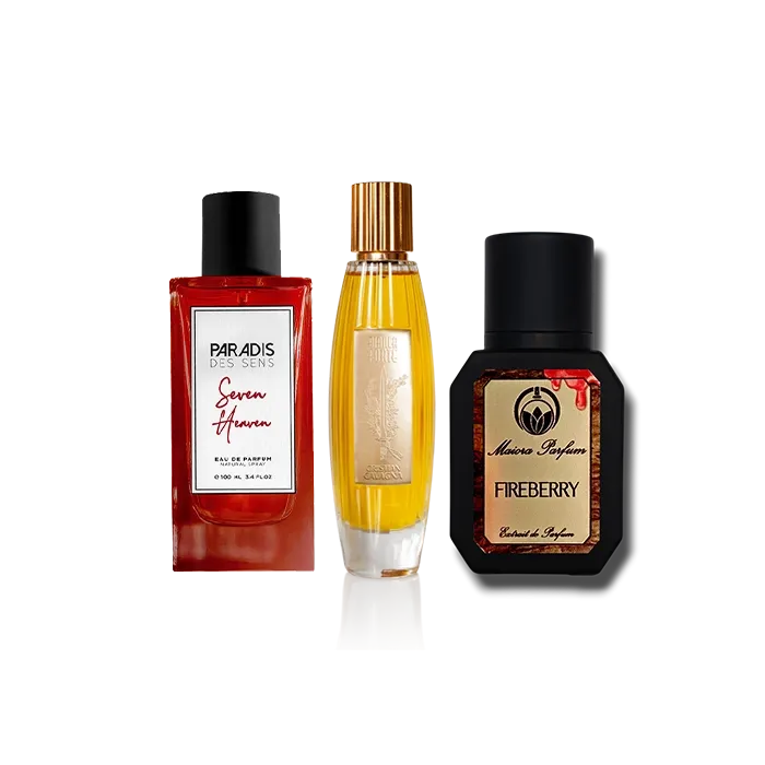 Image de PACK ULTRA NICHE FEMME