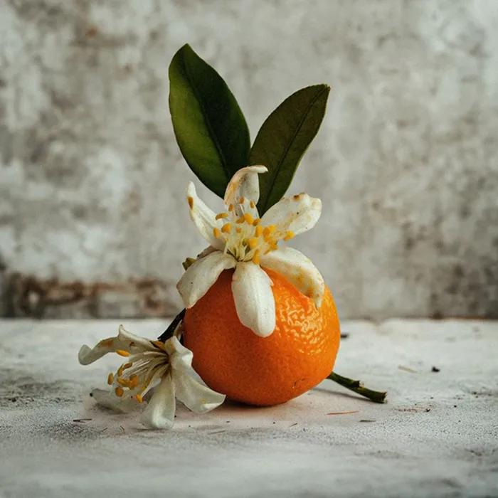 Miniature 3 de PURPLE STAIN